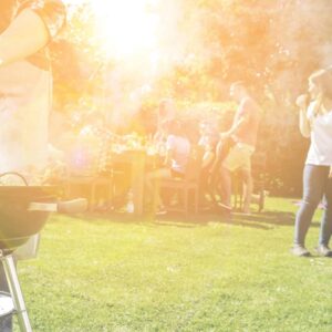 Vega BBQ pakket